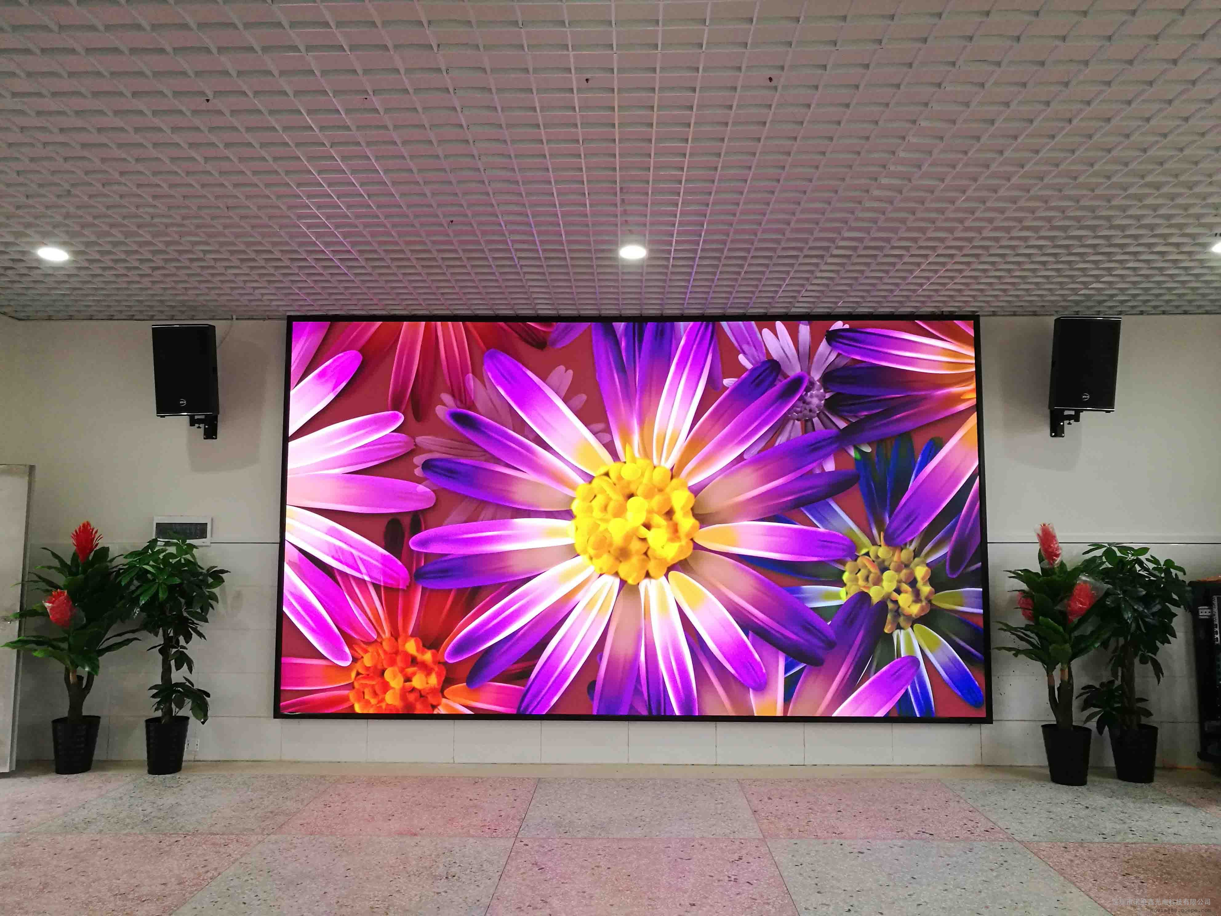 某公司大堂LED显示屏案例